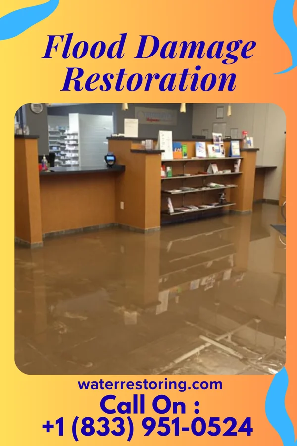 Flood Damage Restoration in Kenesaw, NE