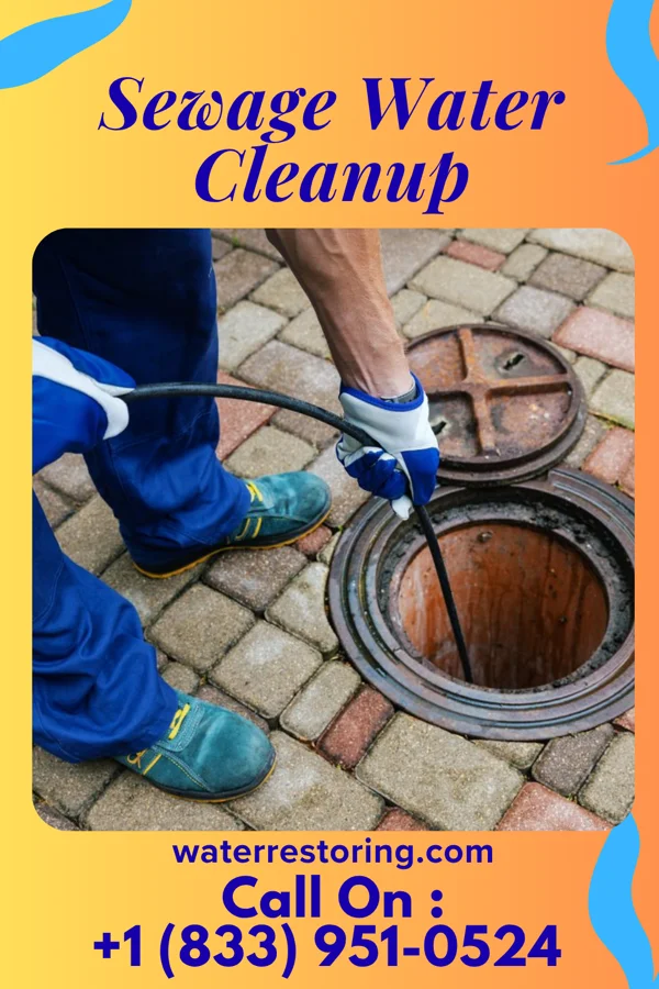 Sewage Water Cleanup in Kenesaw, NE